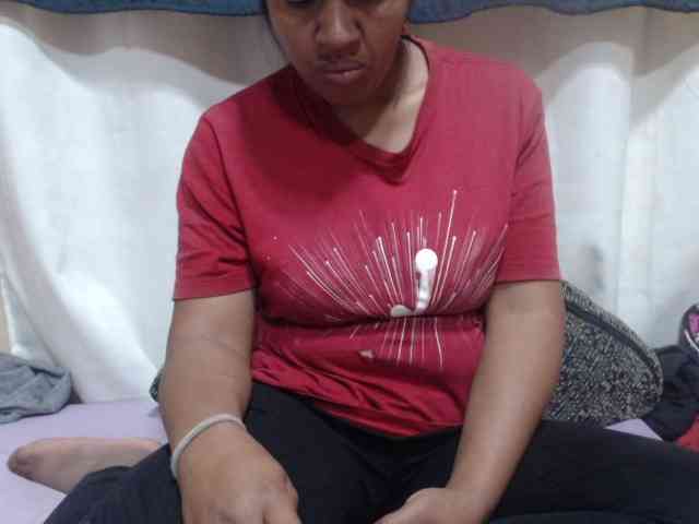 Anishey webcam