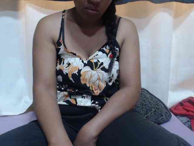 Anishey webcam