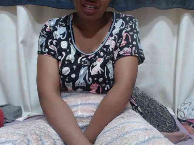 Anishey webcam