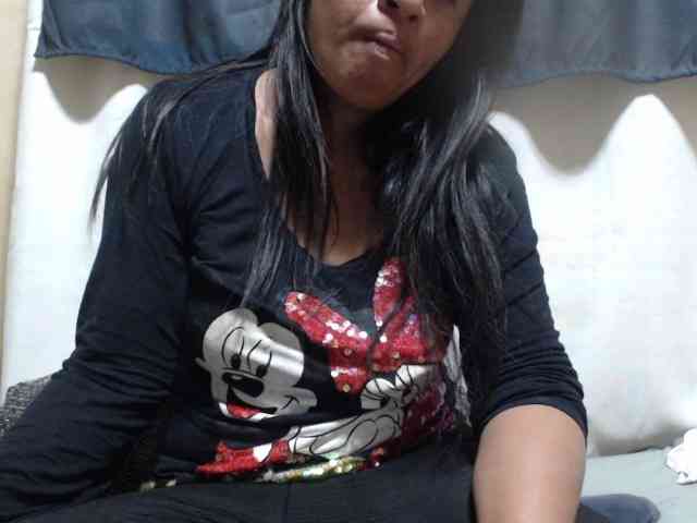 Anishey webcam