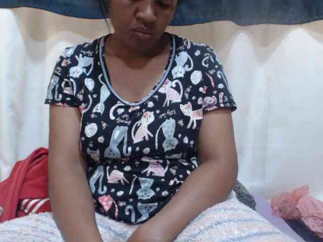 Anishey webcam