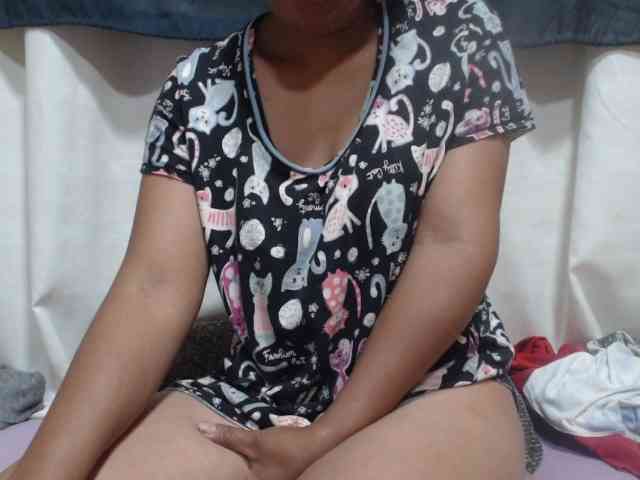 Anishey webcam
