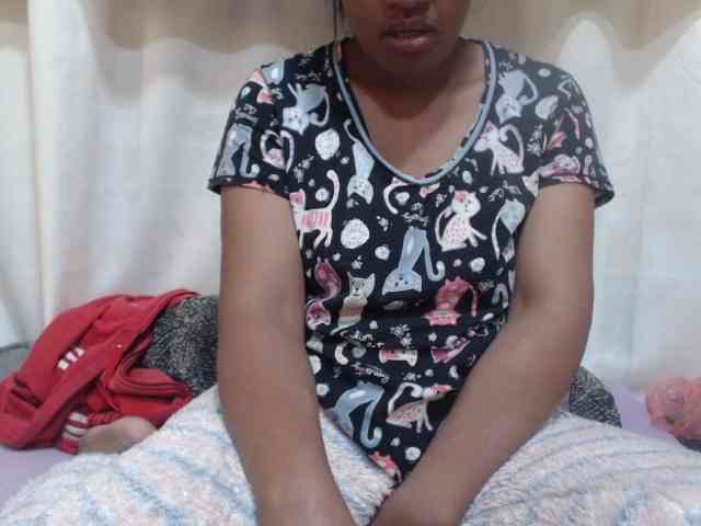 Anishey webcam