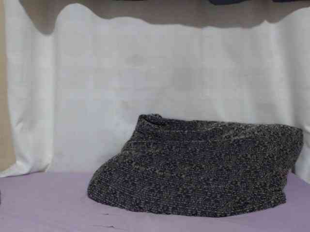 Anishey webcam