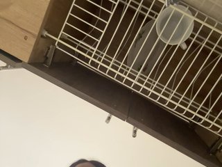 anayys's Live Webcam