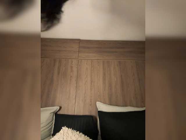 Anaisbeily live cam on BongaCams