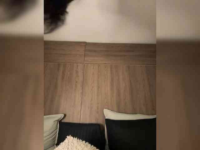 anayys webcam