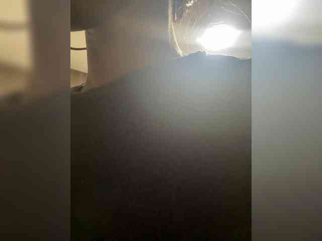 anayys webcam