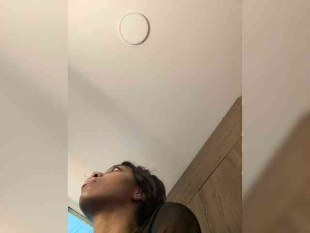anayys webcam