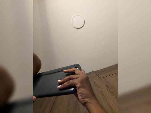 anayys webcam