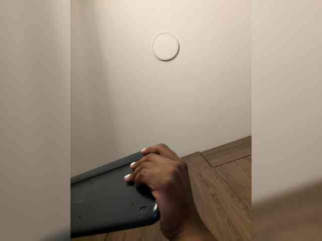 anayys webcam