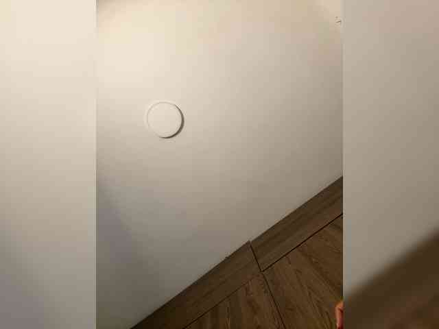 anayys webcam