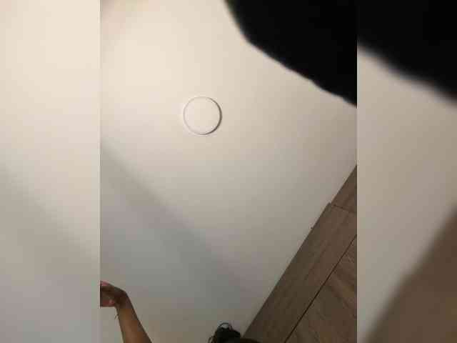 anayys webcam