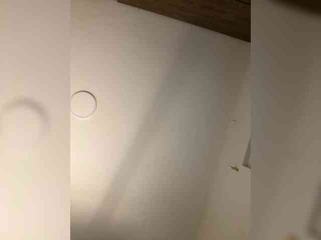 anayys webcam