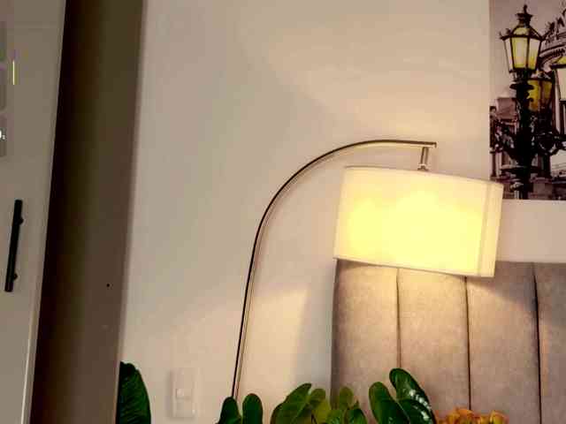 Caralella webcam