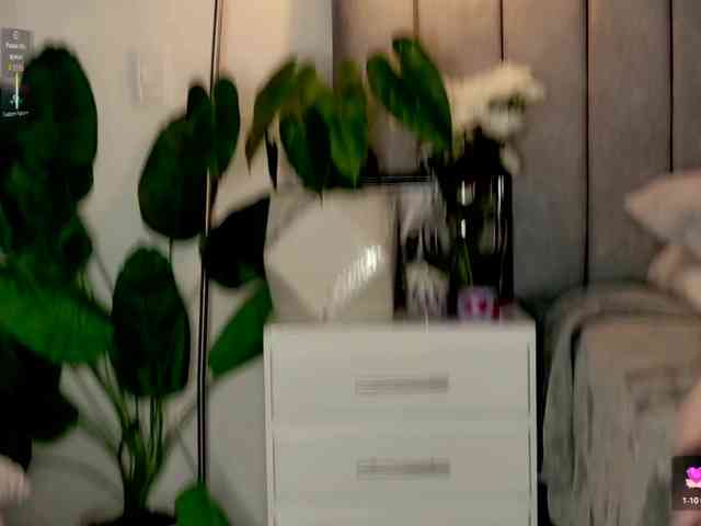 Caralella webcam