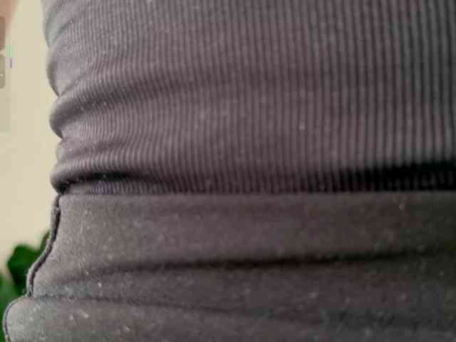 Caralella webcam
