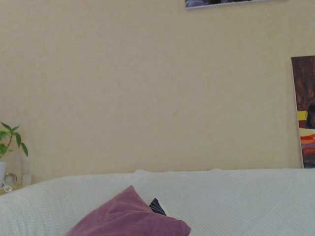 LiluBarbarian webcam