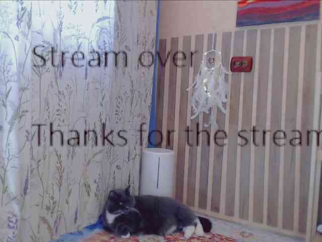 LiluBarbarian webcam
