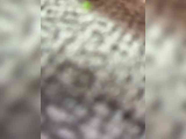 VictoriaBix webcam