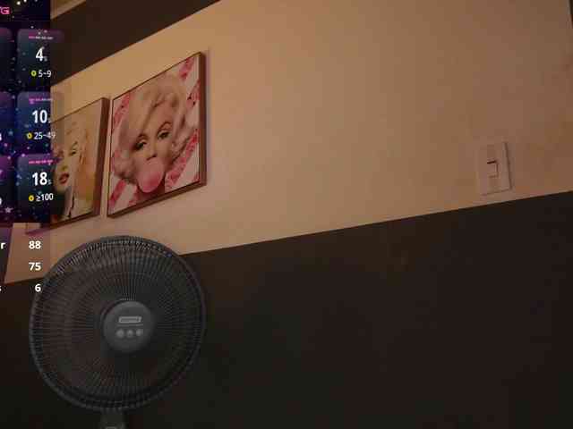 StelleKnox webcam