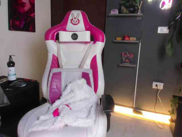StelleKnox webcam