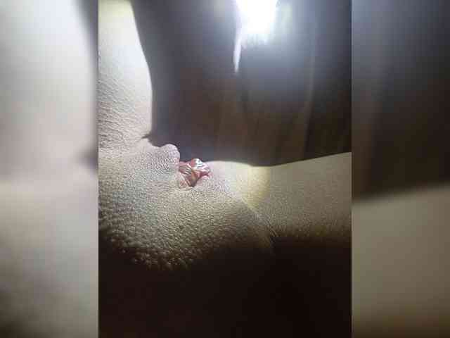 Модель: Evvgenia12345