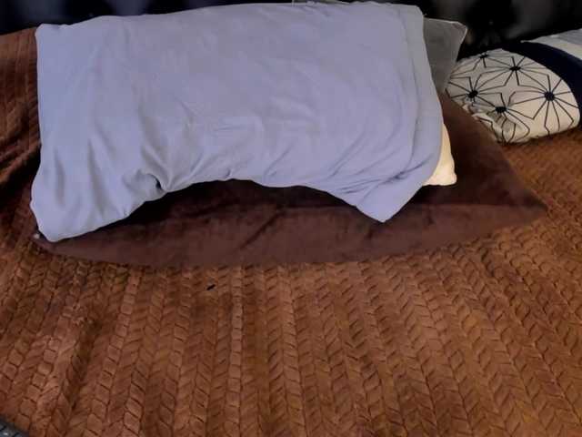 Spicy-shanty live cam on BongaCams