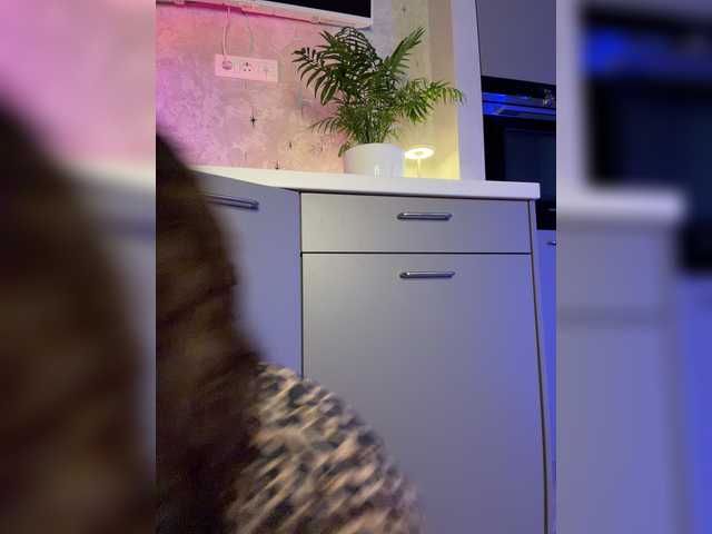 -TATUHA- live cam on BongaCams