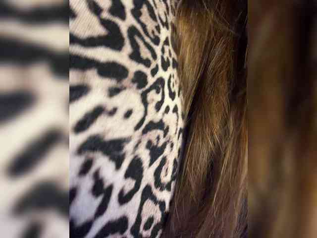 -TATUHA-