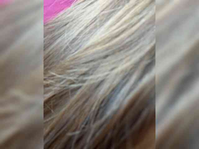 -TATUHA-