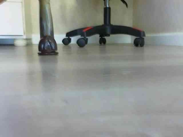 DianaMoon webcam