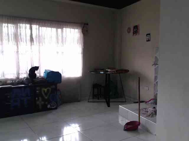 AlinaWoolf webcam