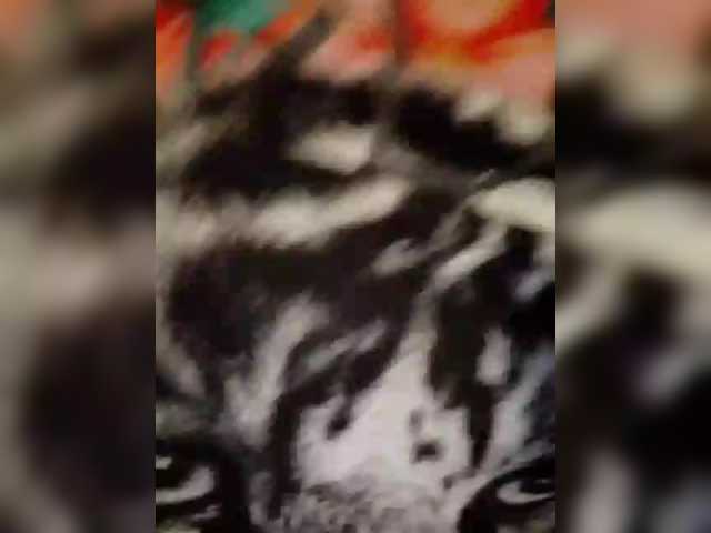 LasjCutie live cam on BongaCams
