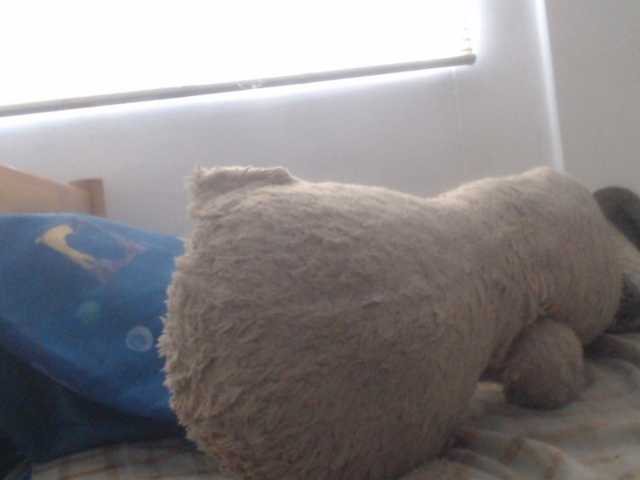 Meganny2023 live cam on BongaCams