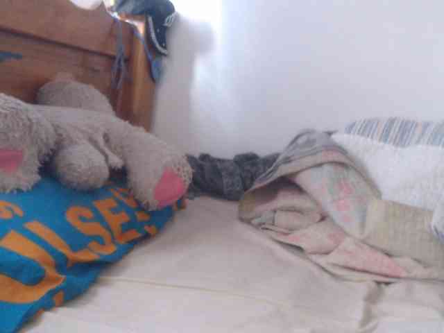 Meganny webcam