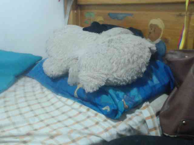 Meganny webcam