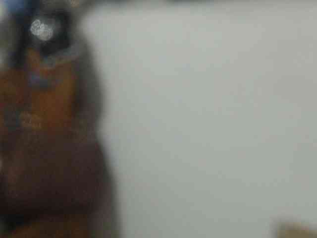 Meganny webcam