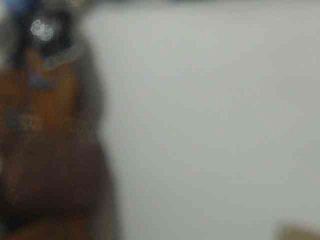 Meganny webcam