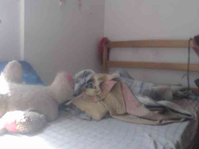 Meganny webcam