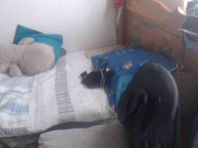Meganny webcam