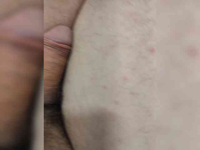 HottCatt
