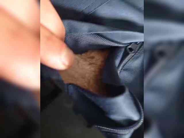 HottCatt