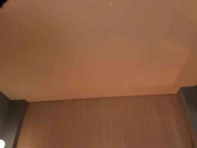 Dominique webcam