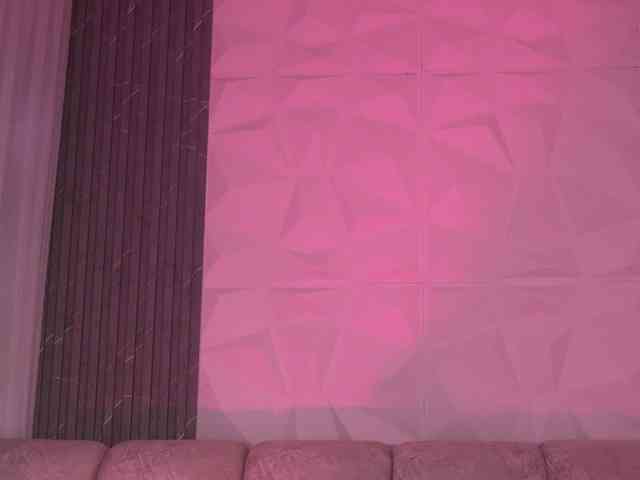 k-rioss webcam