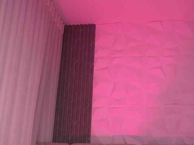 k-rioss webcam