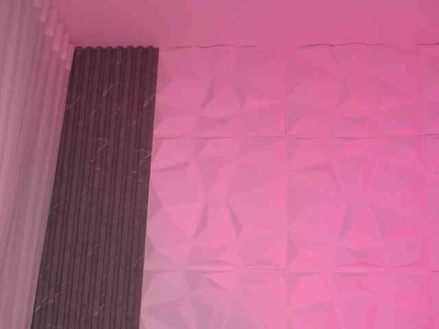 k-rioss webcam