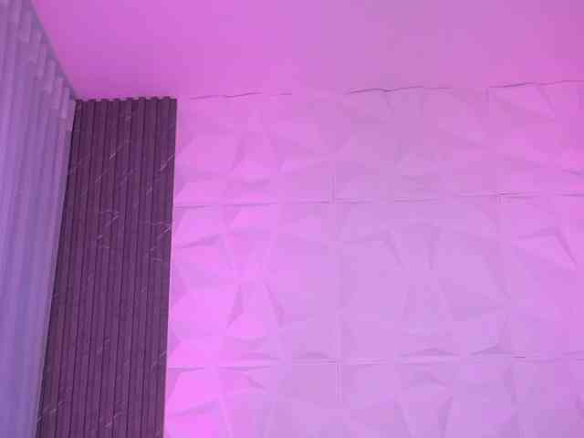 k-rioss webcam