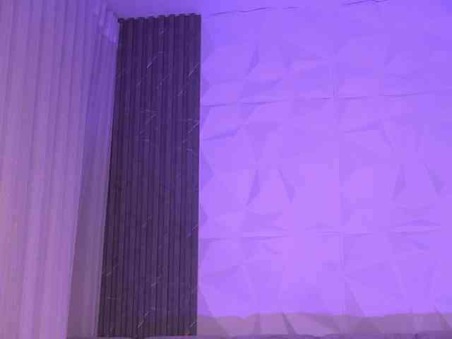 k-rioss webcam