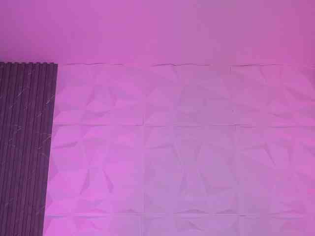 k-rioss webcam